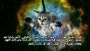 Discovery splash banner for مـقـهـى الأدبـاء Discord server
