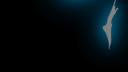 Discovery splash banner for 𝗖𝗹𝗮𝗻𝗱𝗲𝘀𝘁𝗶𝗻𝗼 Discord server