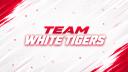 Discovery splash banner for Team White Tigers Discord server