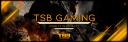 Discovery splash banner for TSB Global 👑 Discord server
