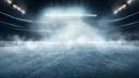 Discovery splash banner for NHL Dimensions Discord server