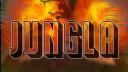 Discovery splash banner for 🌴🔥JUNGLA🔥🌴 Discord server