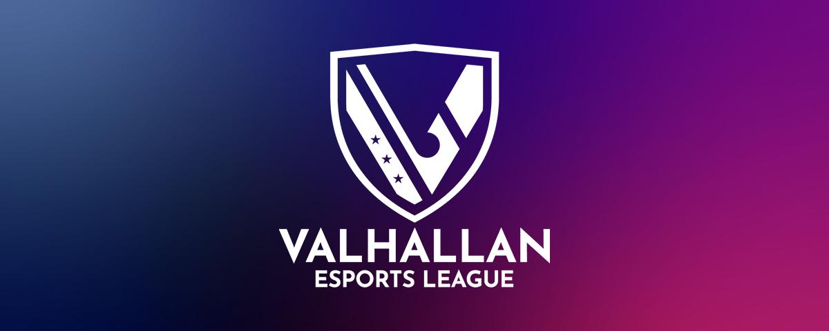 Discovery splash banner for VHEL Discord server