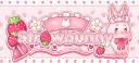 Discovery splash banner for 🍓BINGUS NATION🍓 Discord server
