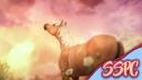 Discovery splash banner for Star Stable Photography Center Discord server